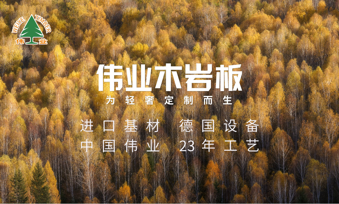 偉業(yè)木巖板，保護(hù)孩子，從懷孕開始